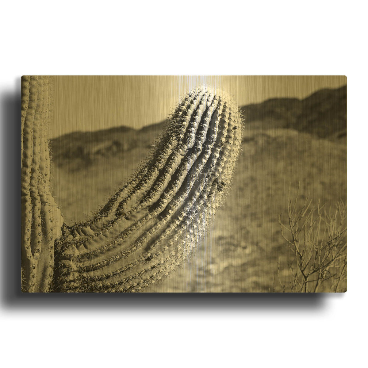 'Saguaro' By Nathan Larson Gold Metal Wall Art