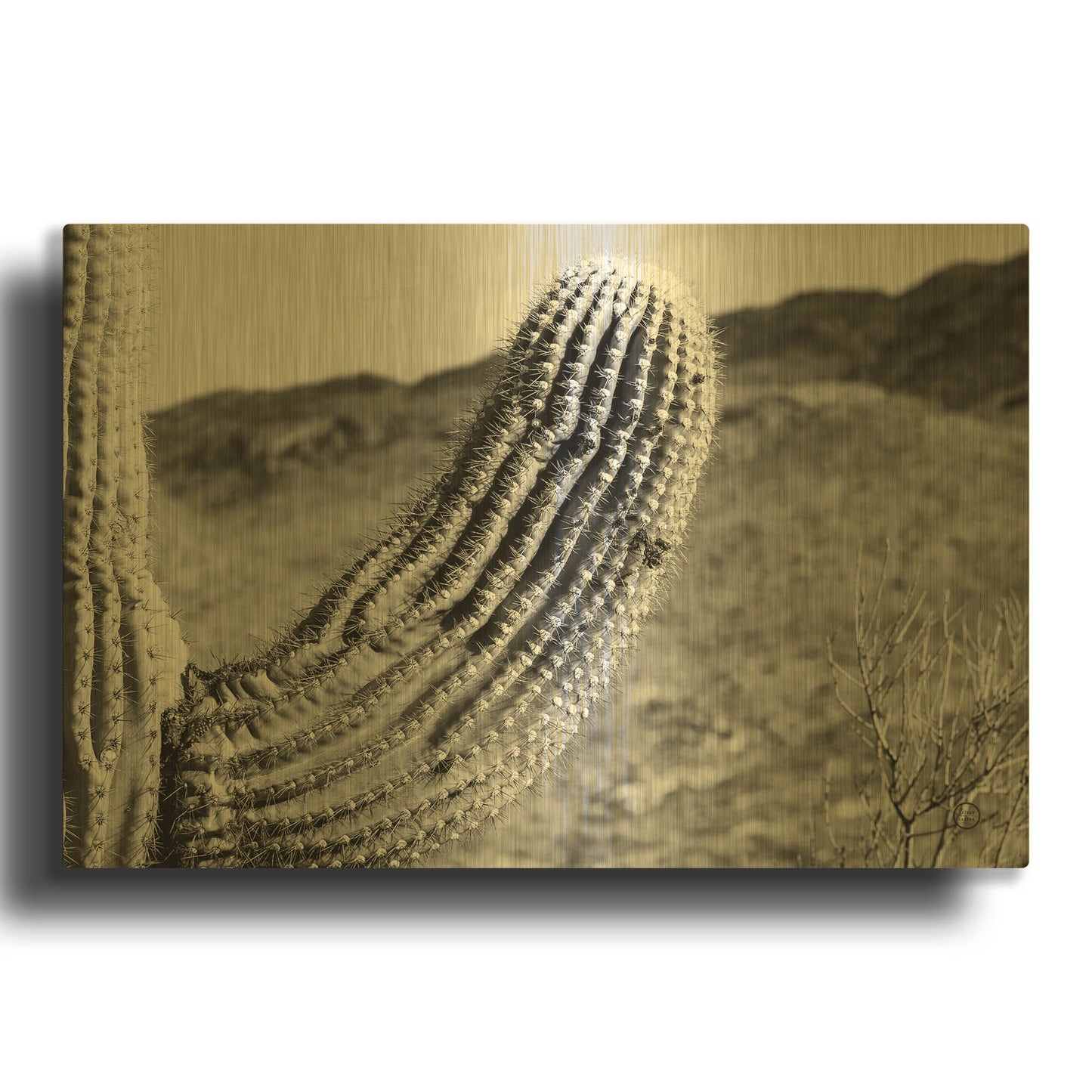 'Saguaro' By Nathan Larson Gold Metal Wall Art