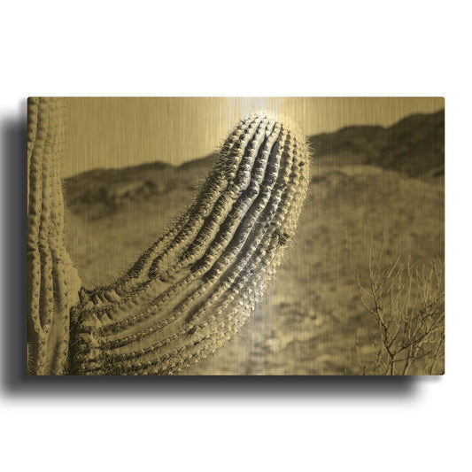 'Saguaro' By Nathan Larson Gold Metal Wall Art