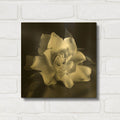 'Gardenia' By Debra Van Swearingen Gold Metal Wall Art