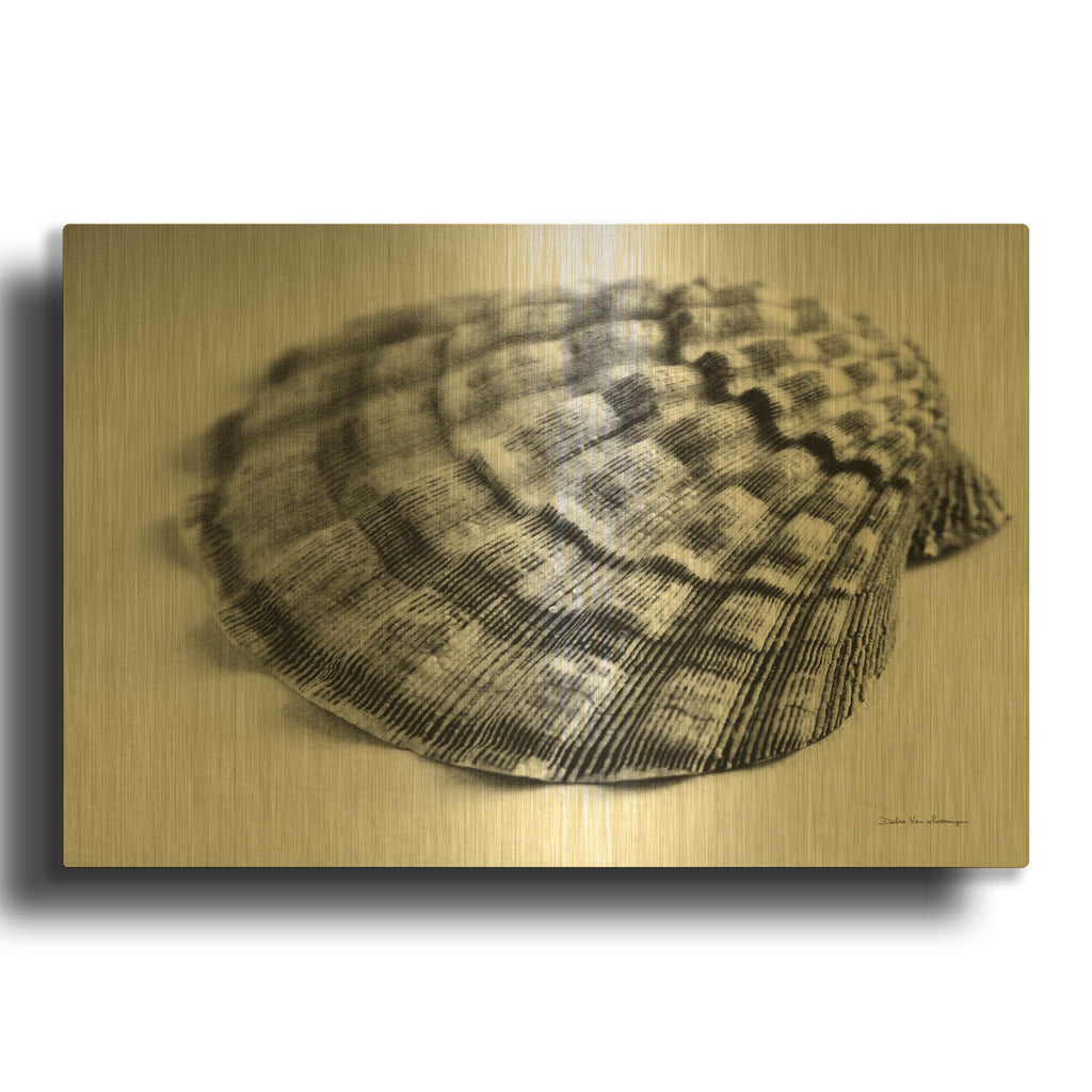 'Scallop 3' By Debra Van Swearingen Gold Metal Wall Art