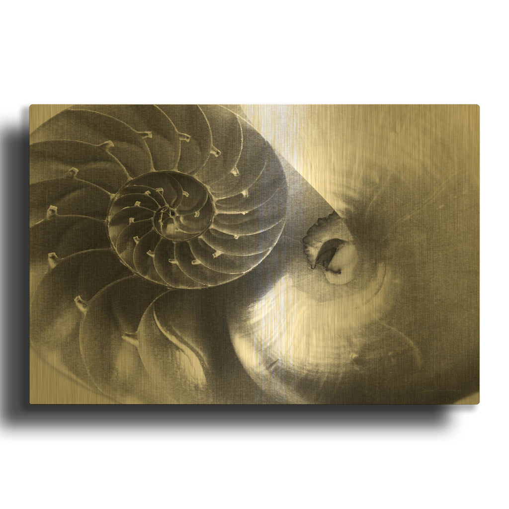'Nautilus Yin Yang' By Debra Van Swearingen Gold Metal Wall Art