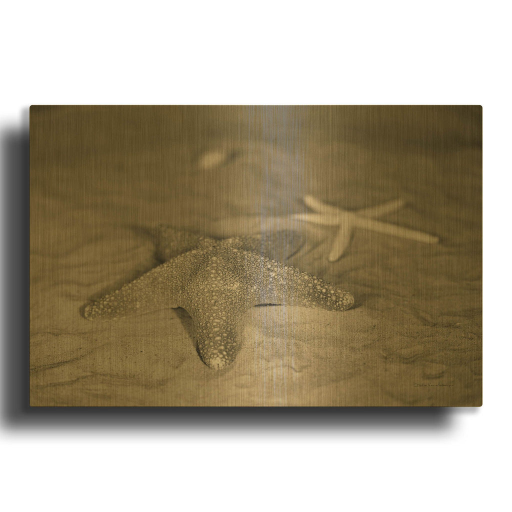 'Starfish II' By Debra Van Swearingen Gold Metal Wall Art