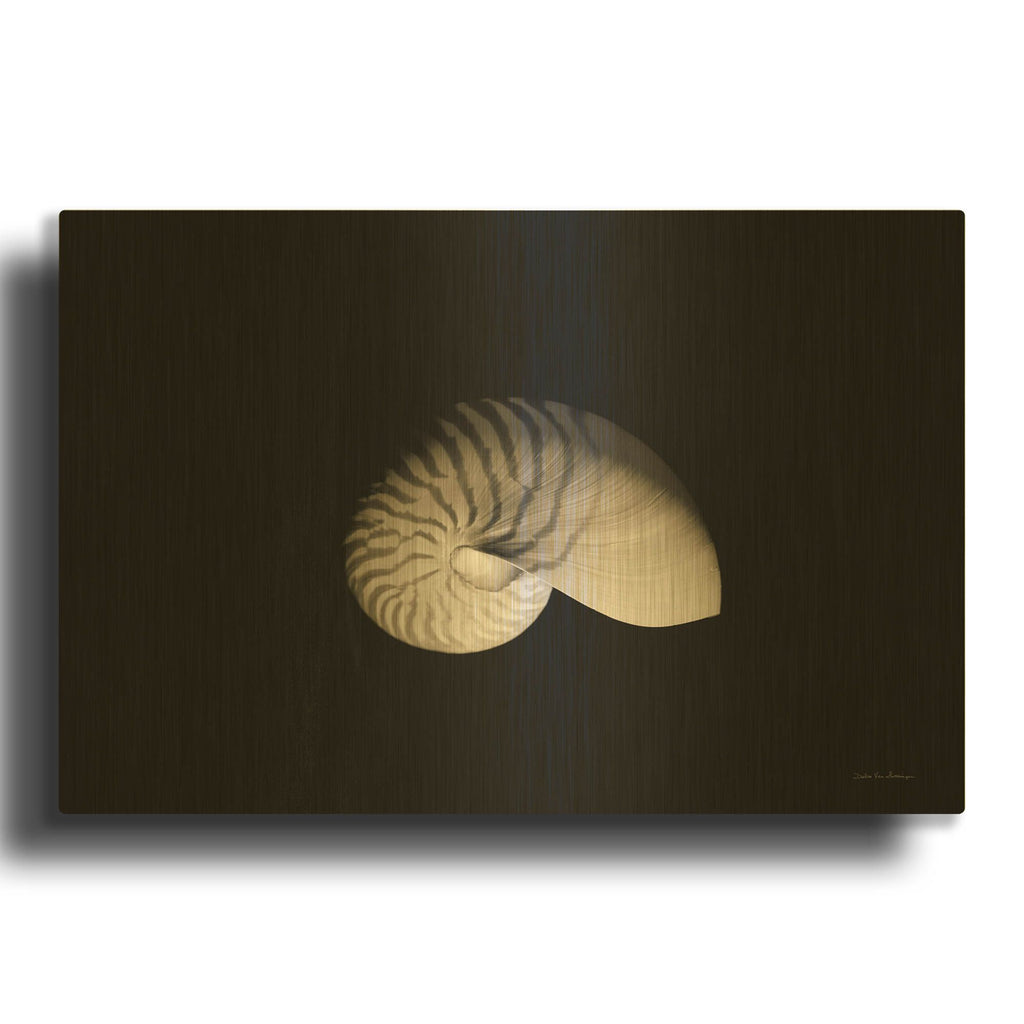 'Nautilus I' By Debra Van Swearingen Gold Metal Wall Art