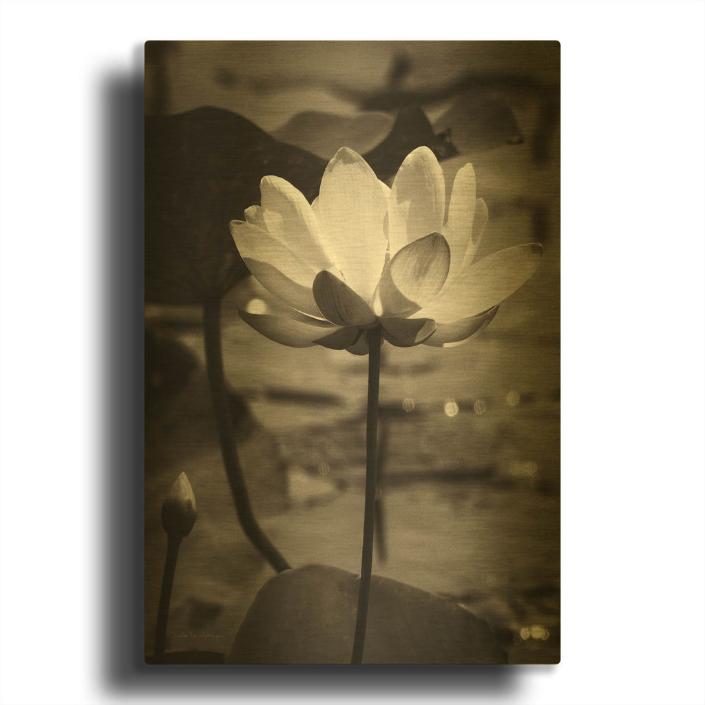 'Lotus Flower IX' By Debra Van Swearingen Gold Metal Wall Art