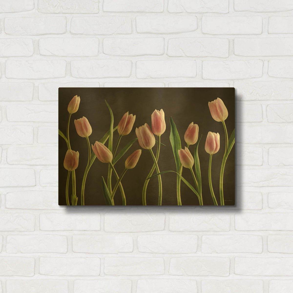 'Spring Tulips IX' By Debra Van Swearingen Gold Metal Wall Art