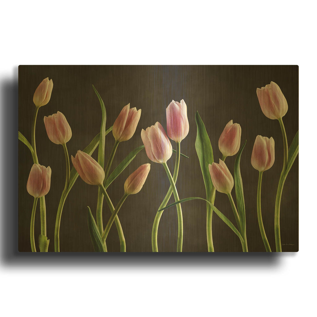 'Spring Tulips IX' By Debra Van Swearingen Gold Metal Wall Art