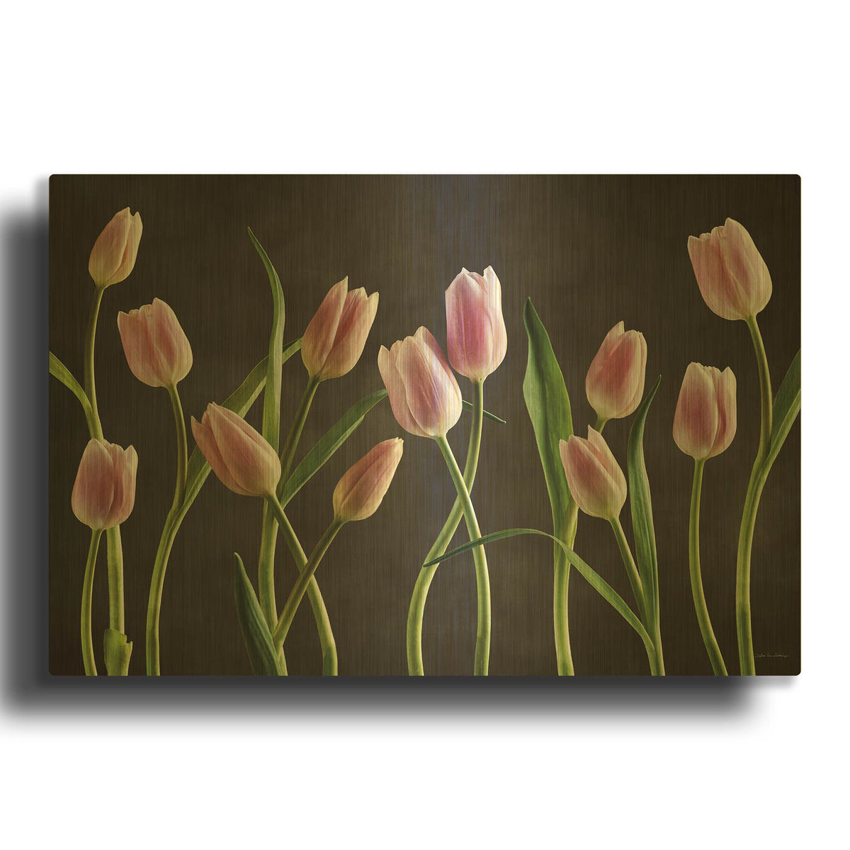 'Spring Tulips IX' By Debra Van Swearingen Gold Metal Wall Art