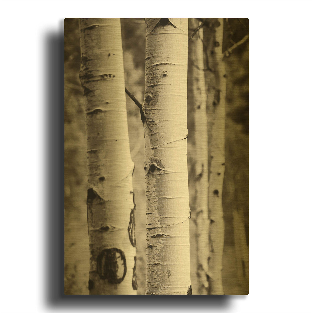 'Aspens I' By Debra Van Swearingen Gold Metal Wall Art