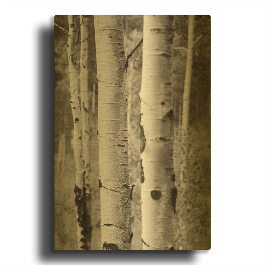'Aspens II' By Debra Van Swearingen Gold Metal Wall Art