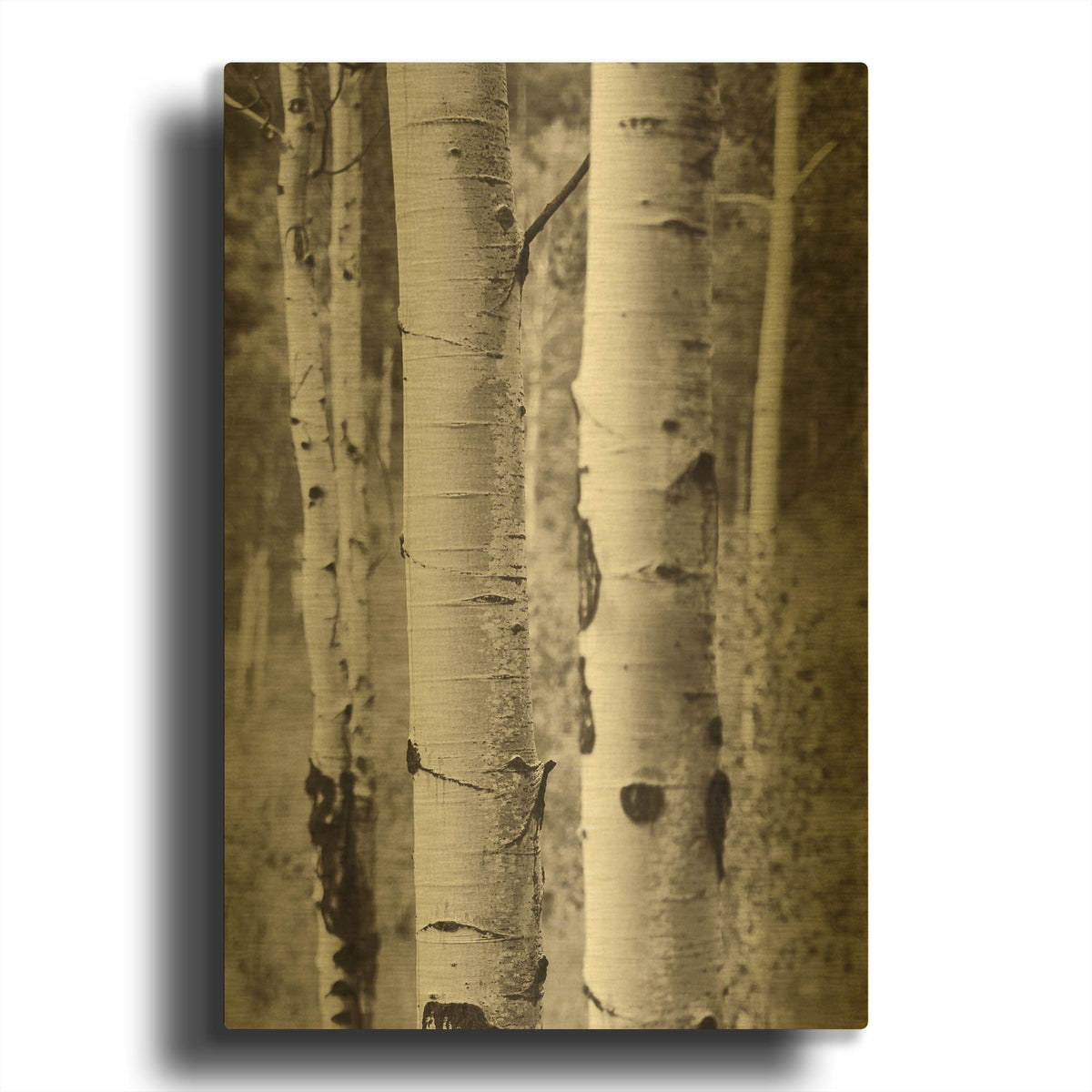 'Aspens II' By Debra Van Swearingen Gold Metal Wall Art