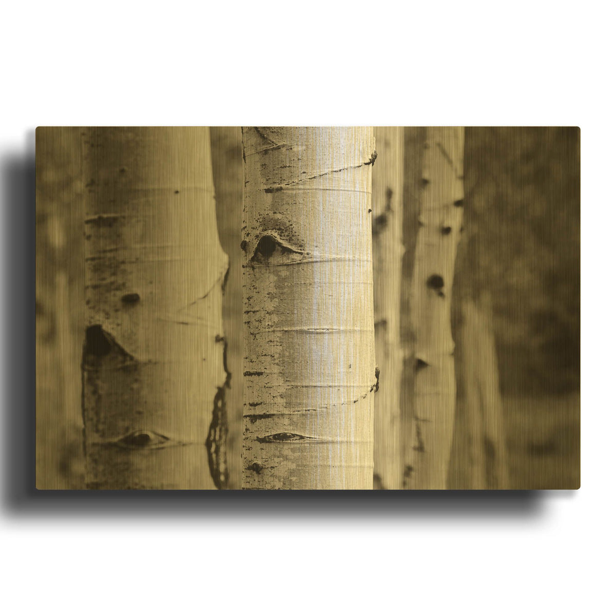 'Aspens III' By Debra Van Swearingen Gold Metal Wall Art