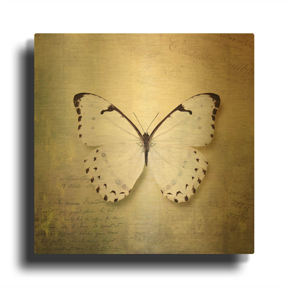 'French Butterfly II' By Debra Van Swearingen Gold Metal Wall Art