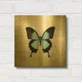 'French Butterfly III' By Debra Van Swearingen Gold Metal Wall Art