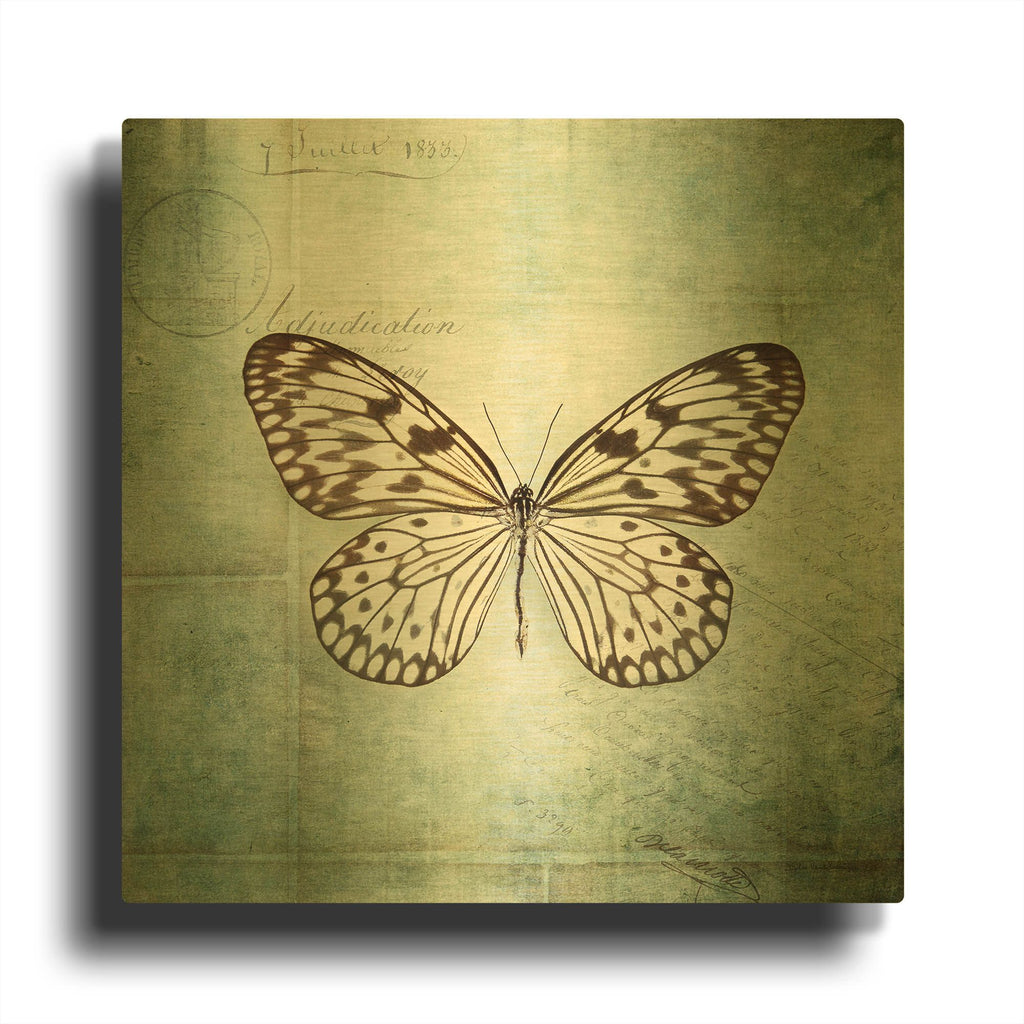 'French Butterfly V' By Debra Van Swearingen Gold Metal Wall Art