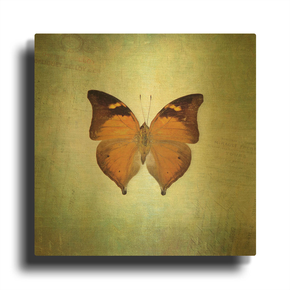 'French Butterfly VII' By Debra Van Swearingen Gold Metal Wall Art