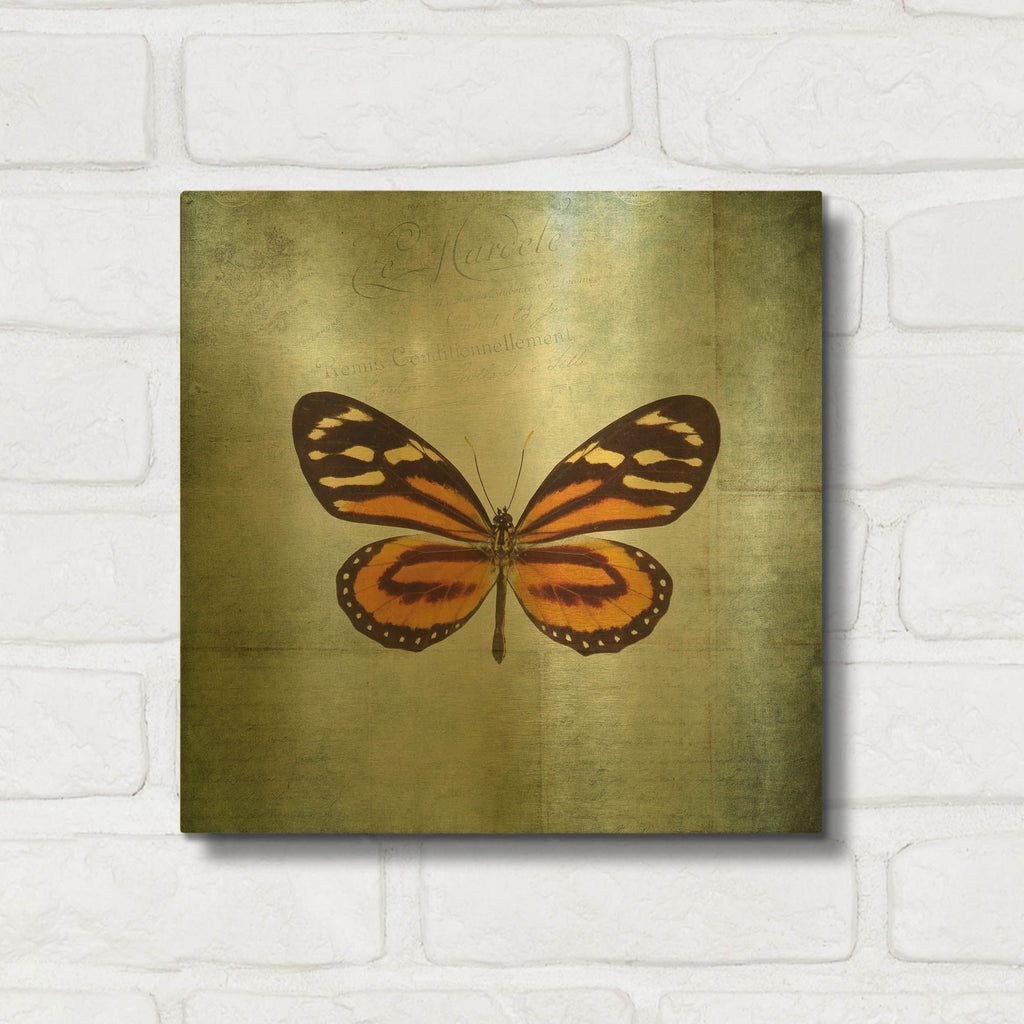 'French Butterfly VIII' By Debra Van Swearingen Gold Metal Wall Art