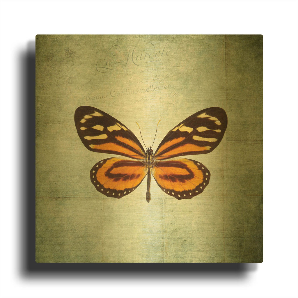 'French Butterfly VIII' By Debra Van Swearingen Gold Metal Wall Art