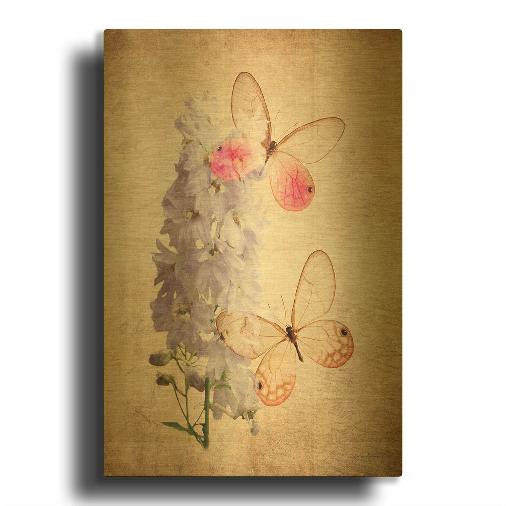 'Butterfly Botanical I' By Debra Van Swearingen Gold Metal Wall Art