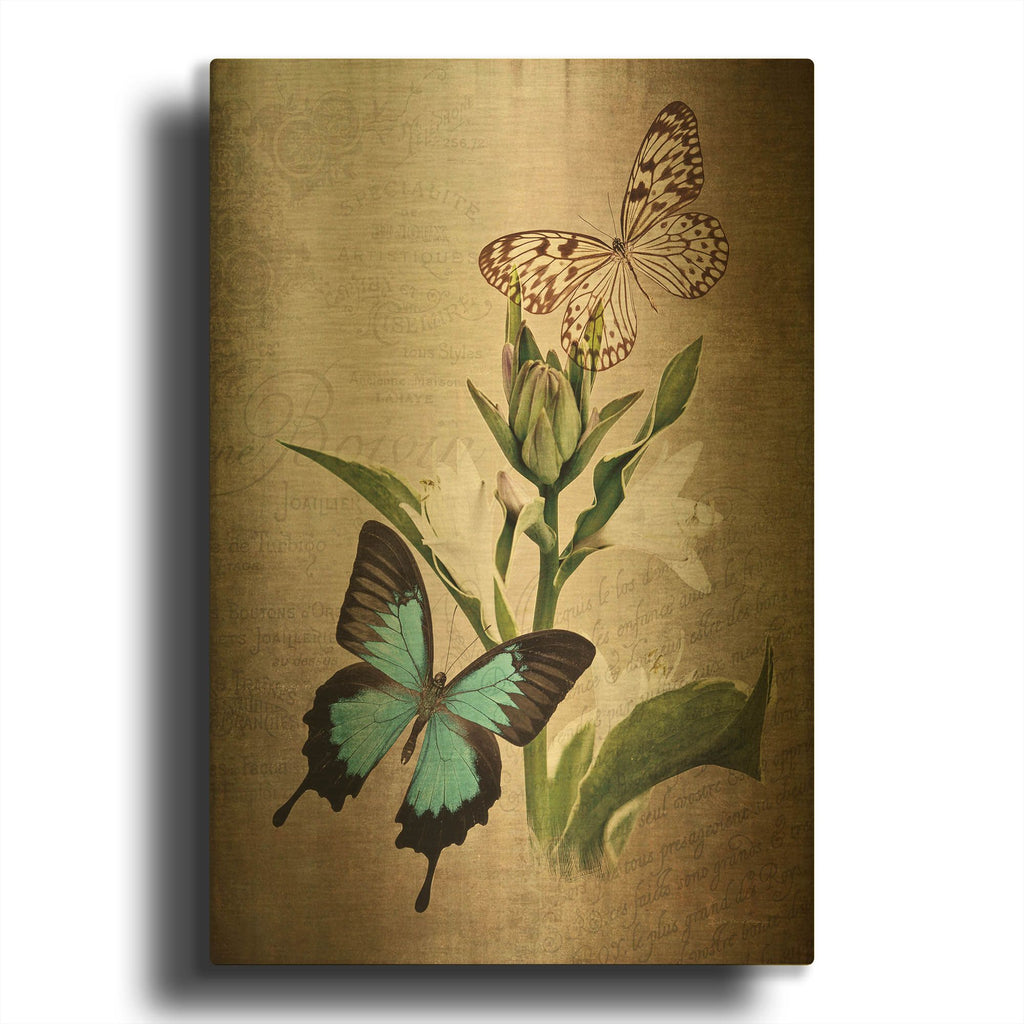 'Butterfly Botanical II' By Debra Van Swearingen Gold Metal Wall Art