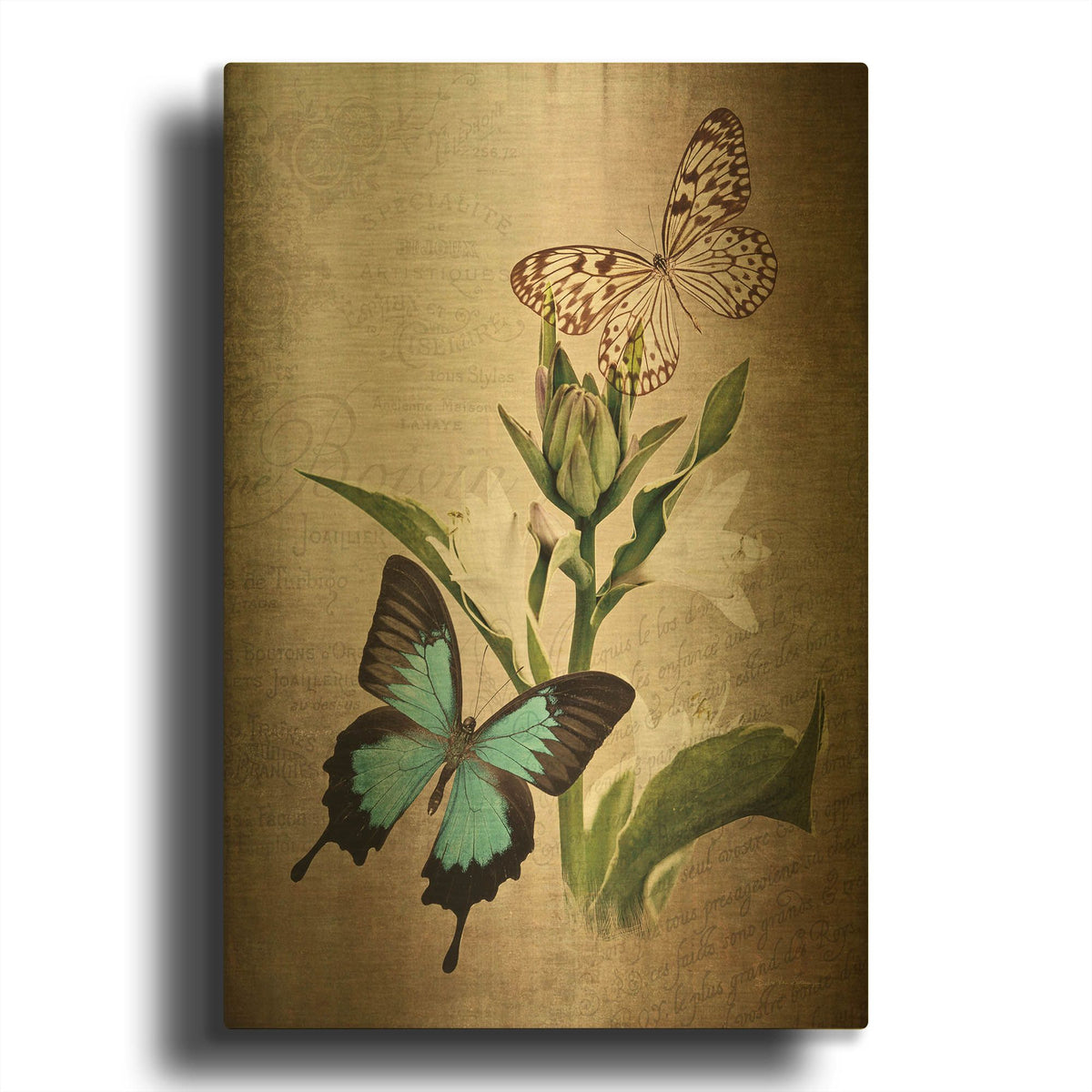 'Butterfly Botanical II' By Debra Van Swearingen Gold Metal Wall Art