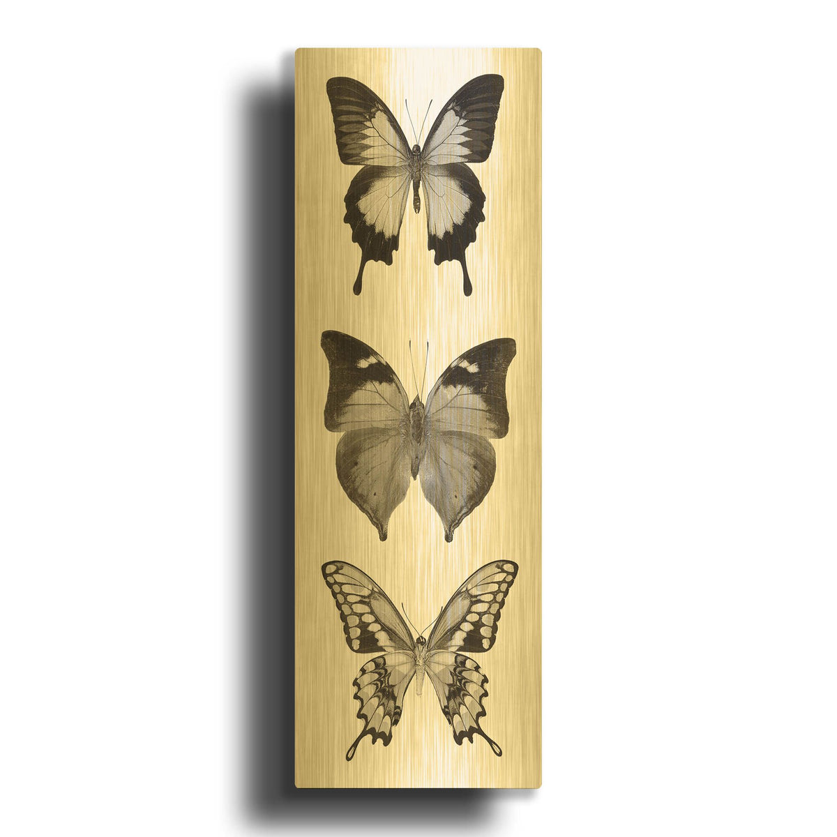 'Butterfly BW Panel I' By Debra Van Swearingen Gold Metal Wall Art