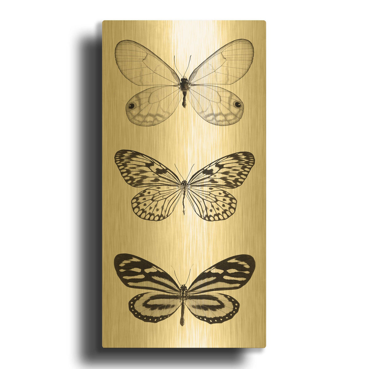'Butterfly BW Panel II' By Debra Van Swearingen Gold Metal Wall Art