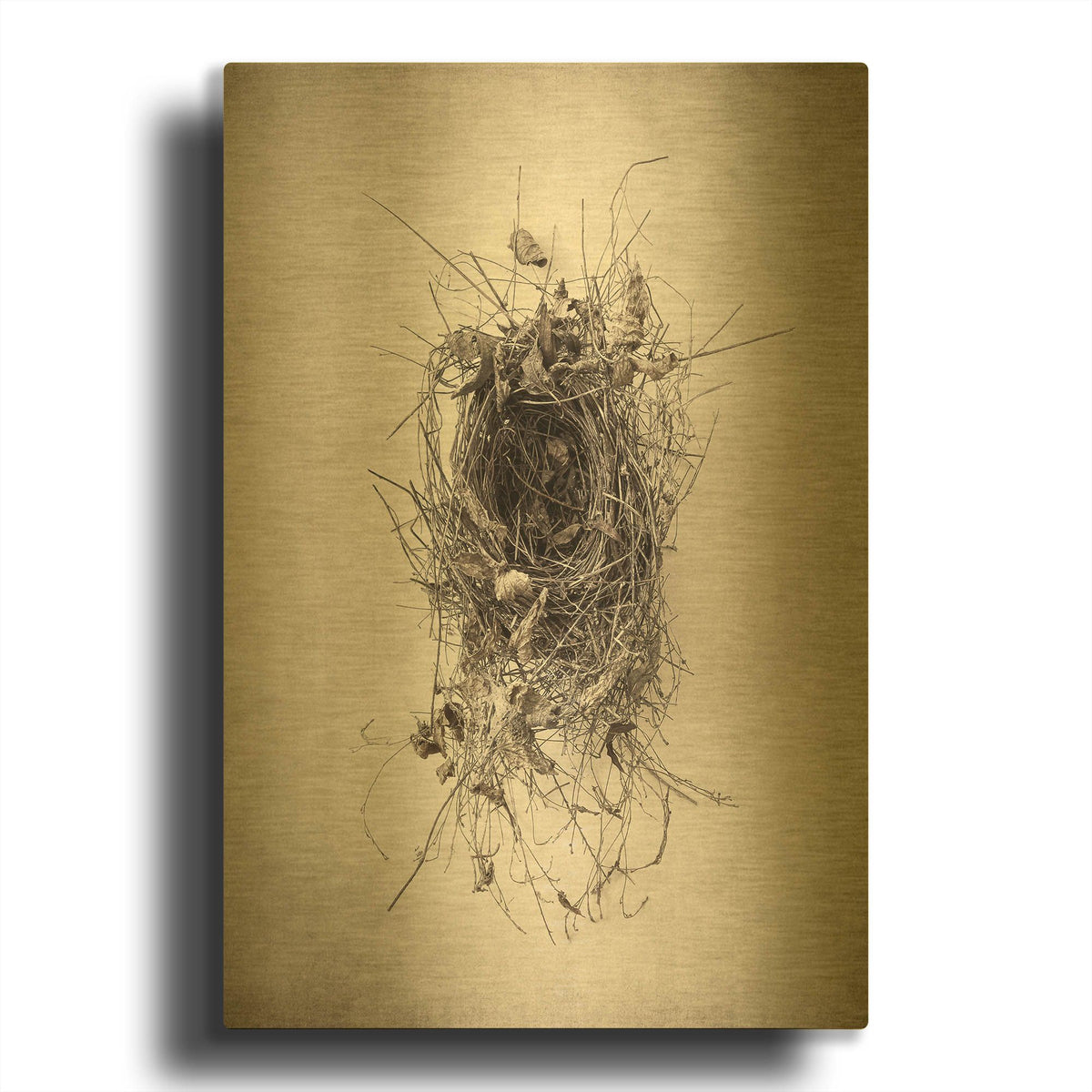 'Nest II' By Debra Van Swearingen Gold Metal Wall Art