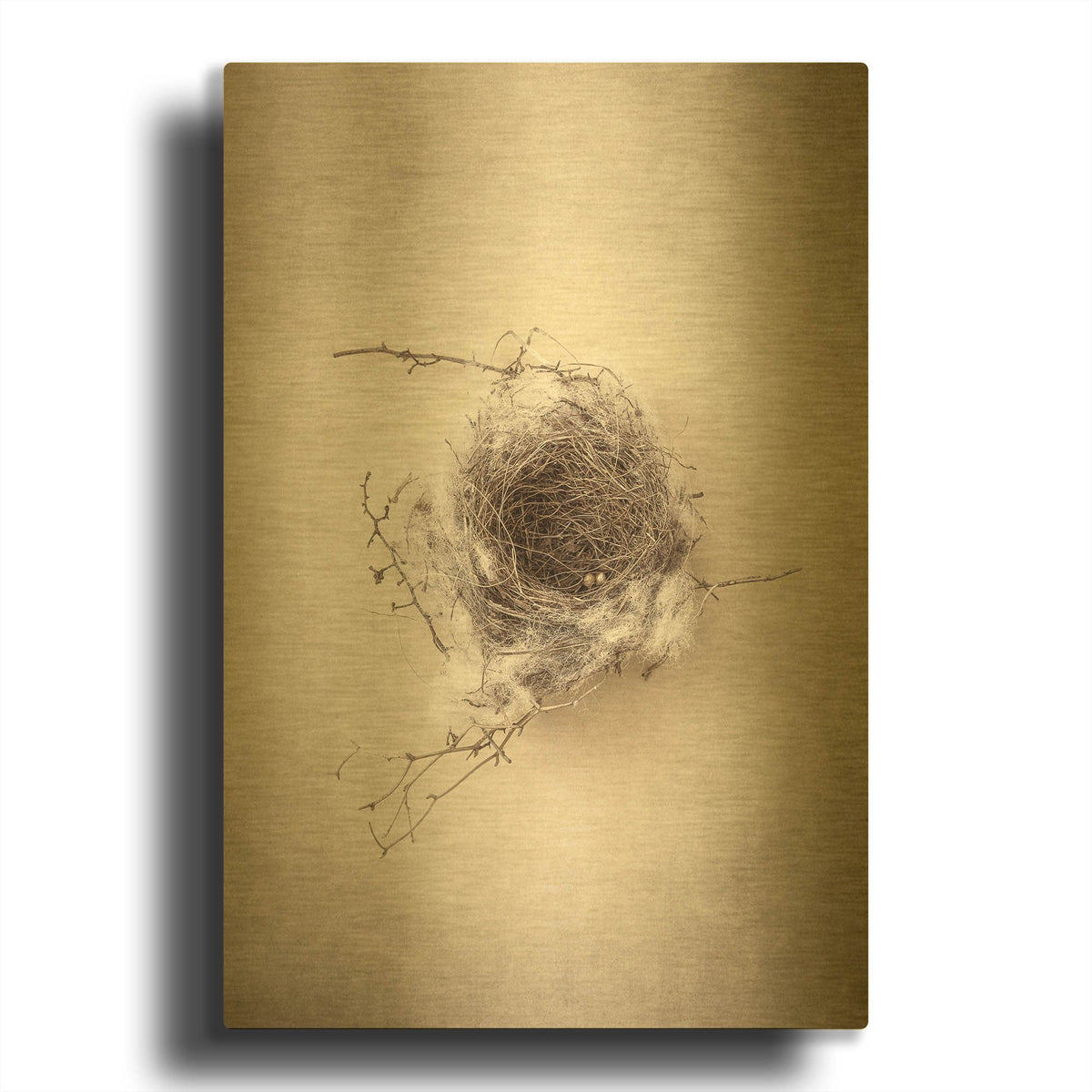 'Nest III' By Debra Van Swearingen Gold Metal Wall Art