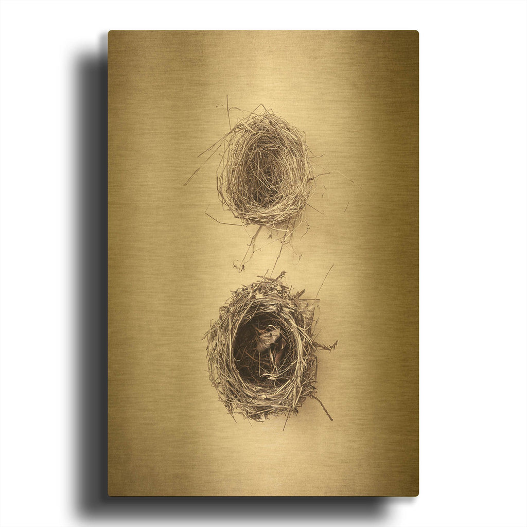 'Nest IV' By Debra Van Swearingen Gold Metal Wall Art