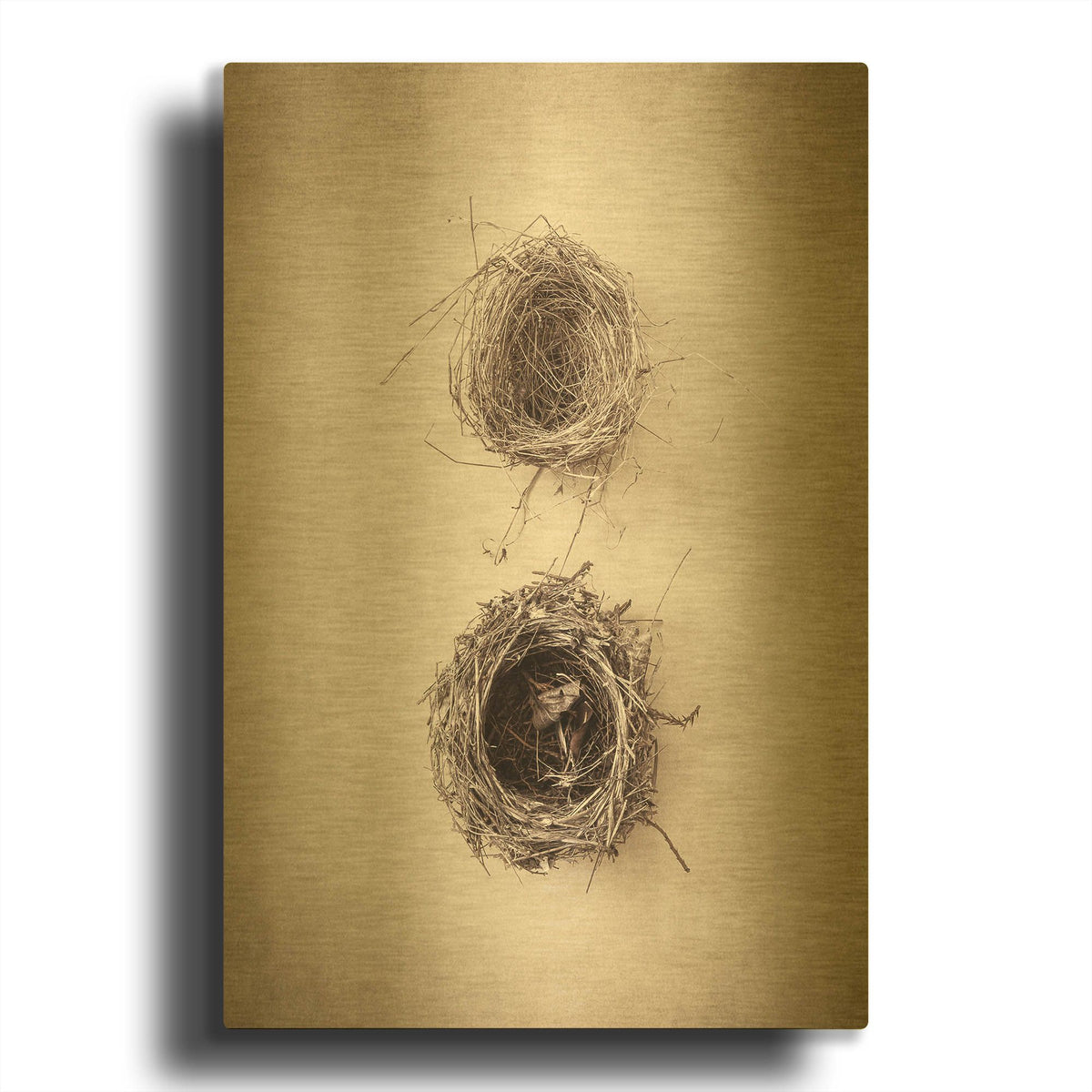 'Nest IV' By Debra Van Swearingen Gold Metal Wall Art