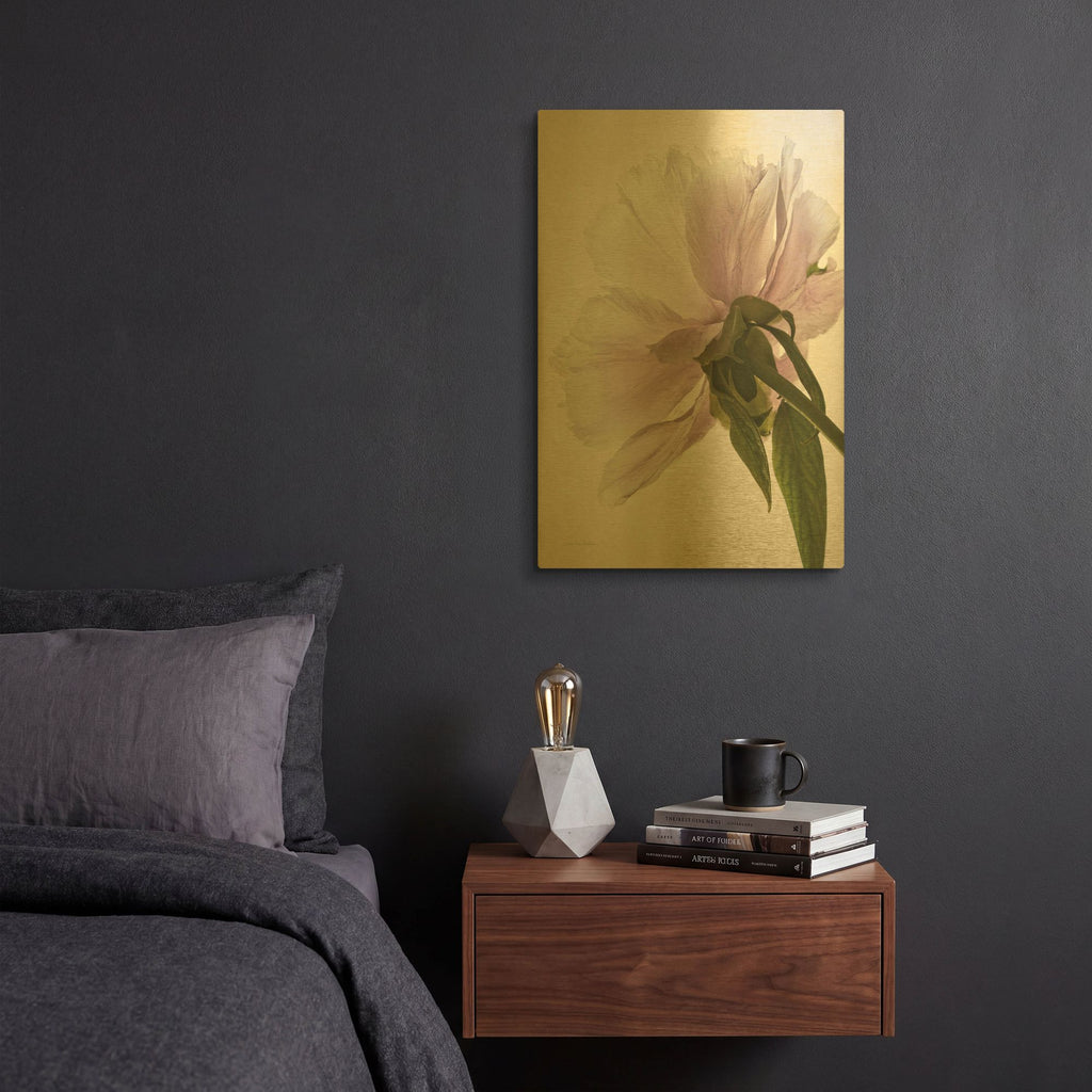 'Translucent Peony III' By Debra Van Swearingen Gold Metal Wall Art