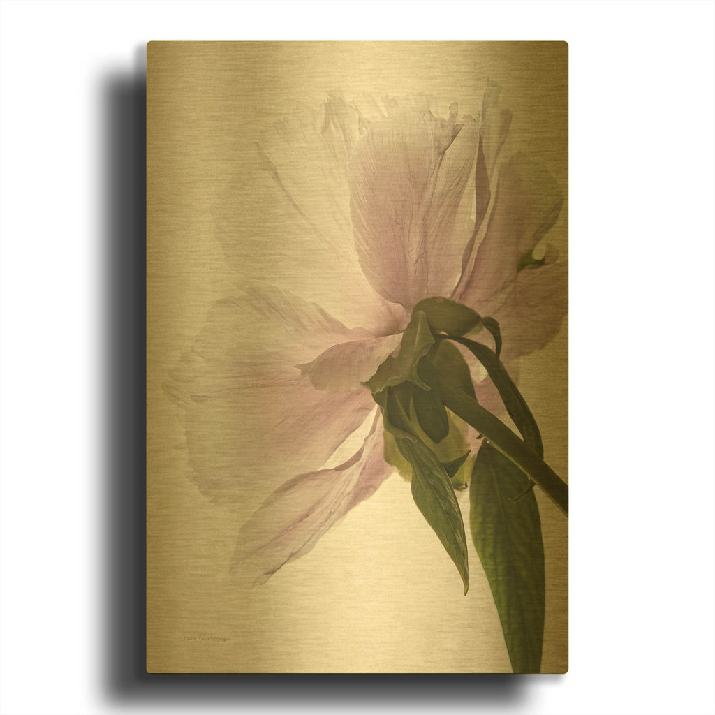'Translucent Peony III' By Debra Van Swearingen Gold Metal Wall Art
