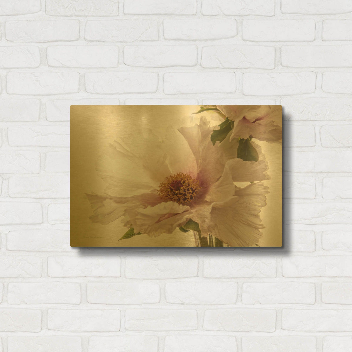 'Translucent Peony V' By Debra Van Swearingen Gold Metal Wall Art