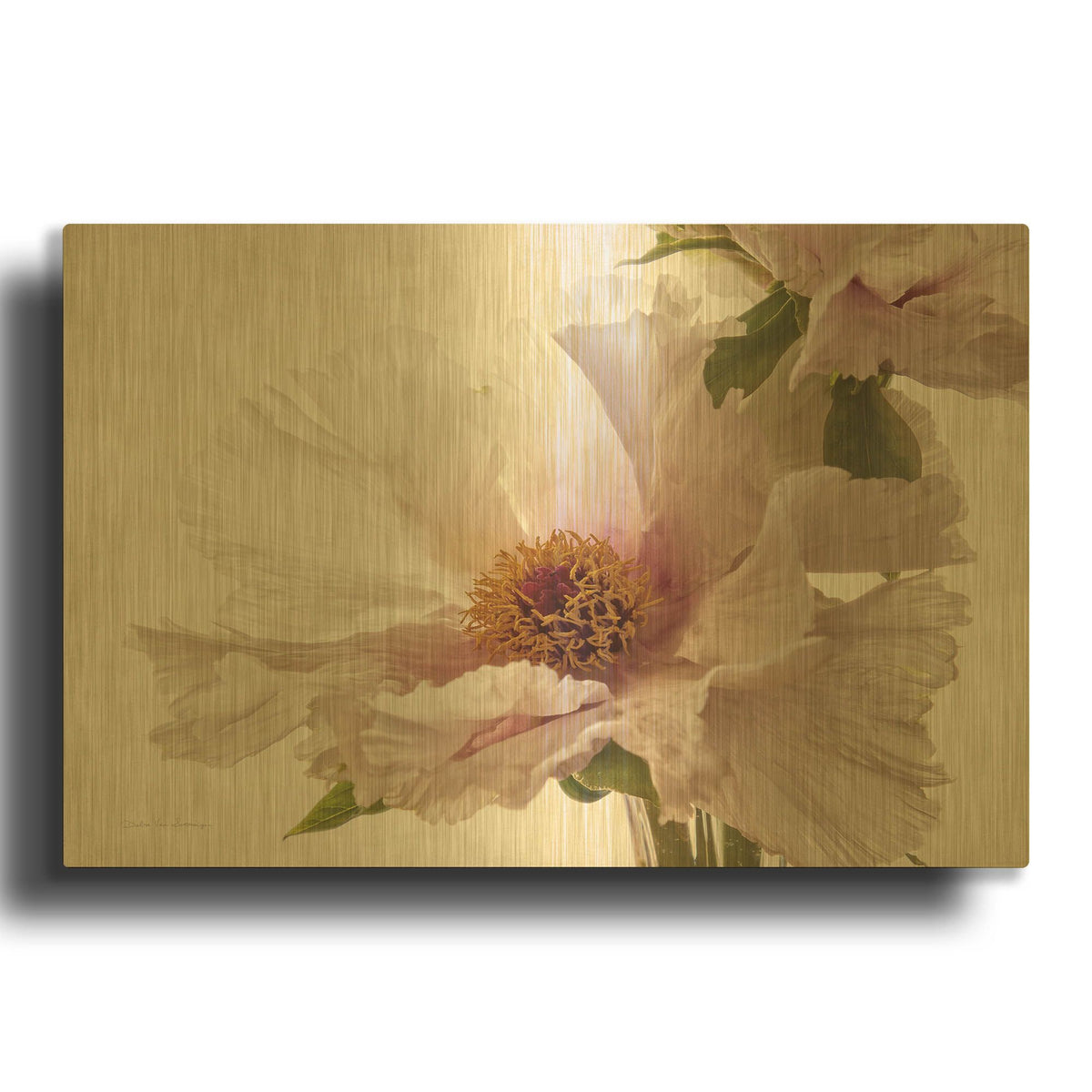 'Translucent Peony V' By Debra Van Swearingen Gold Metal Wall Art