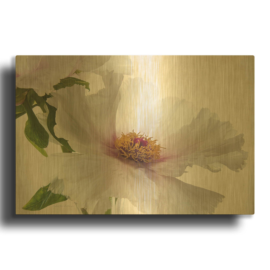 'Translucent Peony VI' By Debra Van Swearingen Gold Metal Wall Art