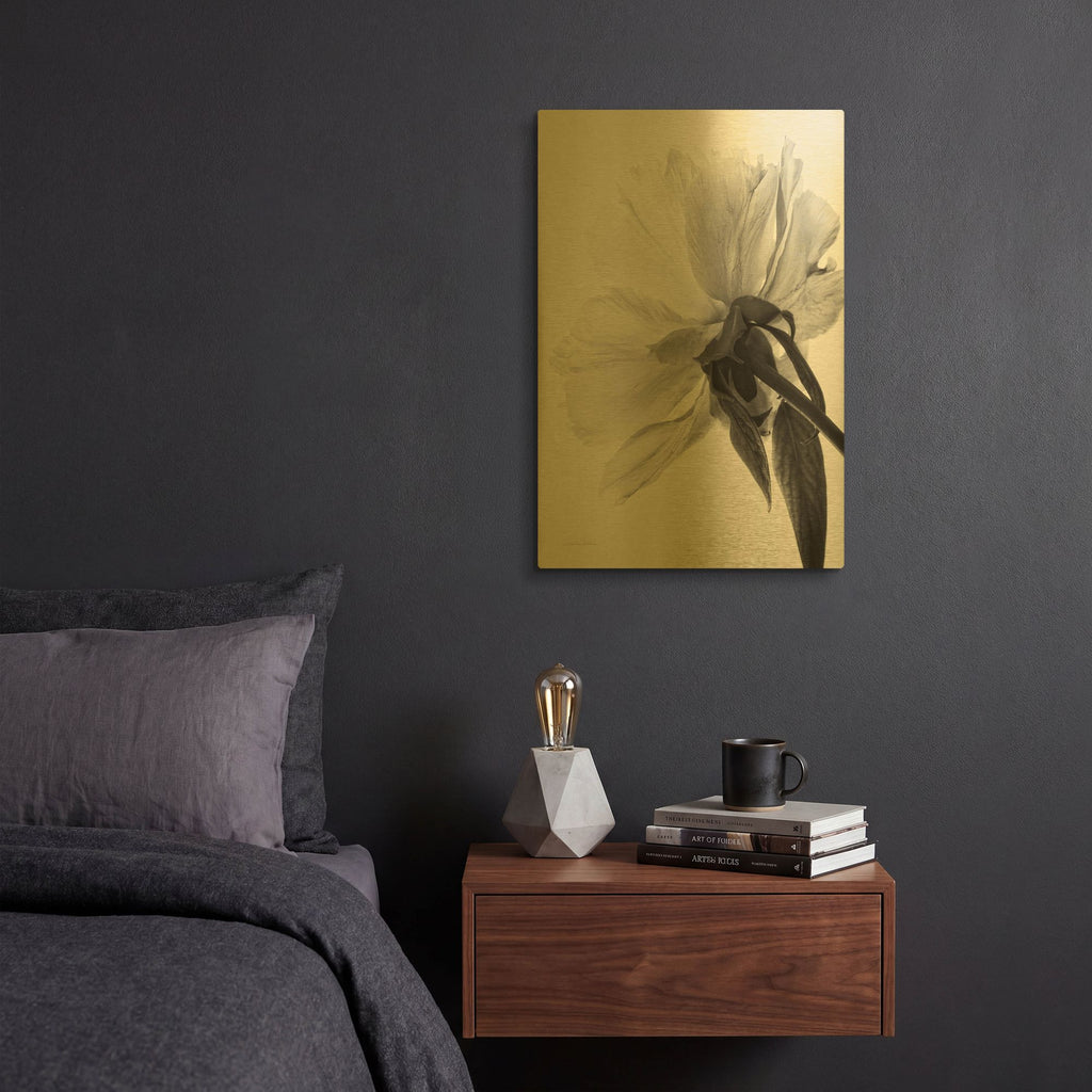 'Translucent Peony IIIBW' By Debra Van Swearingen Gold Metal Wall Art