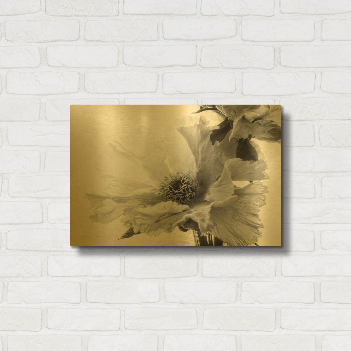 'Translucent Peony VBW' By Debra Van Swearingen Gold Metal Wall Art