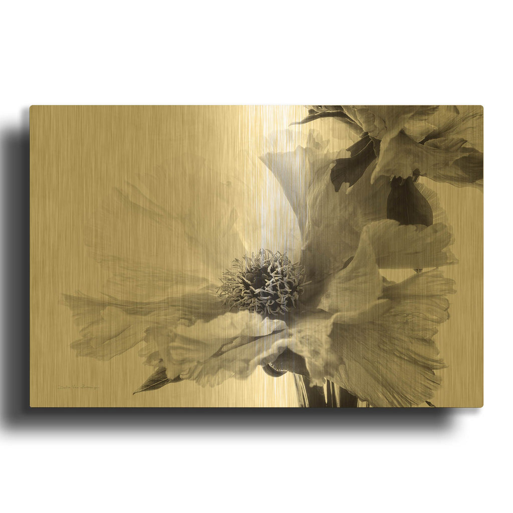 'Translucent Peony VBW' By Debra Van Swearingen Gold Metal Wall Art