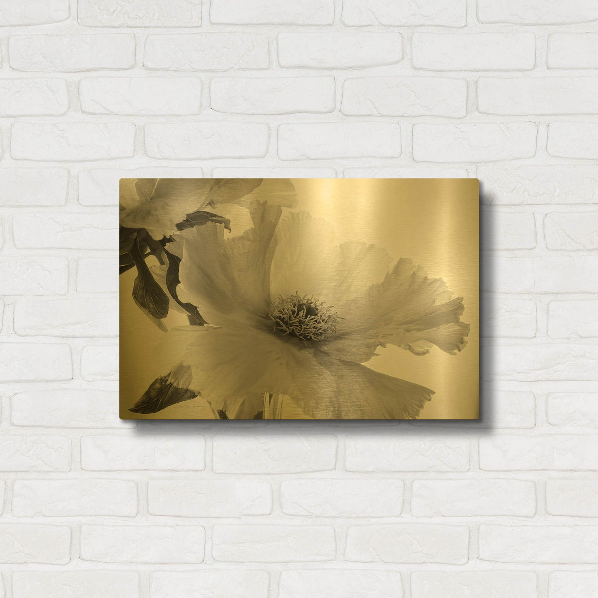 'Translucent Peony VIBW' By Debra Van Swearingen Gold Metal Wall Art