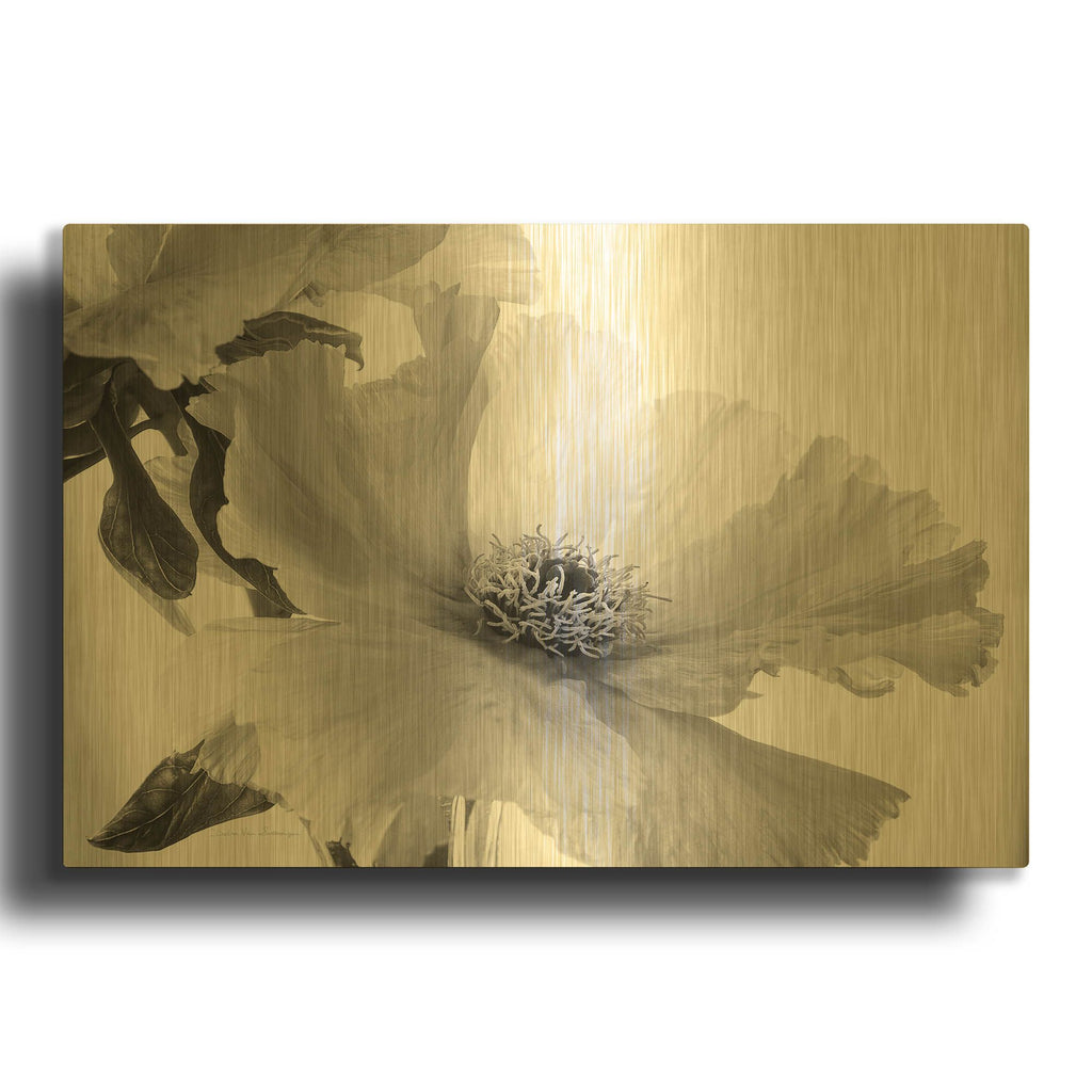 'Translucent Peony VIBW' By Debra Van Swearingen Gold Metal Wall Art