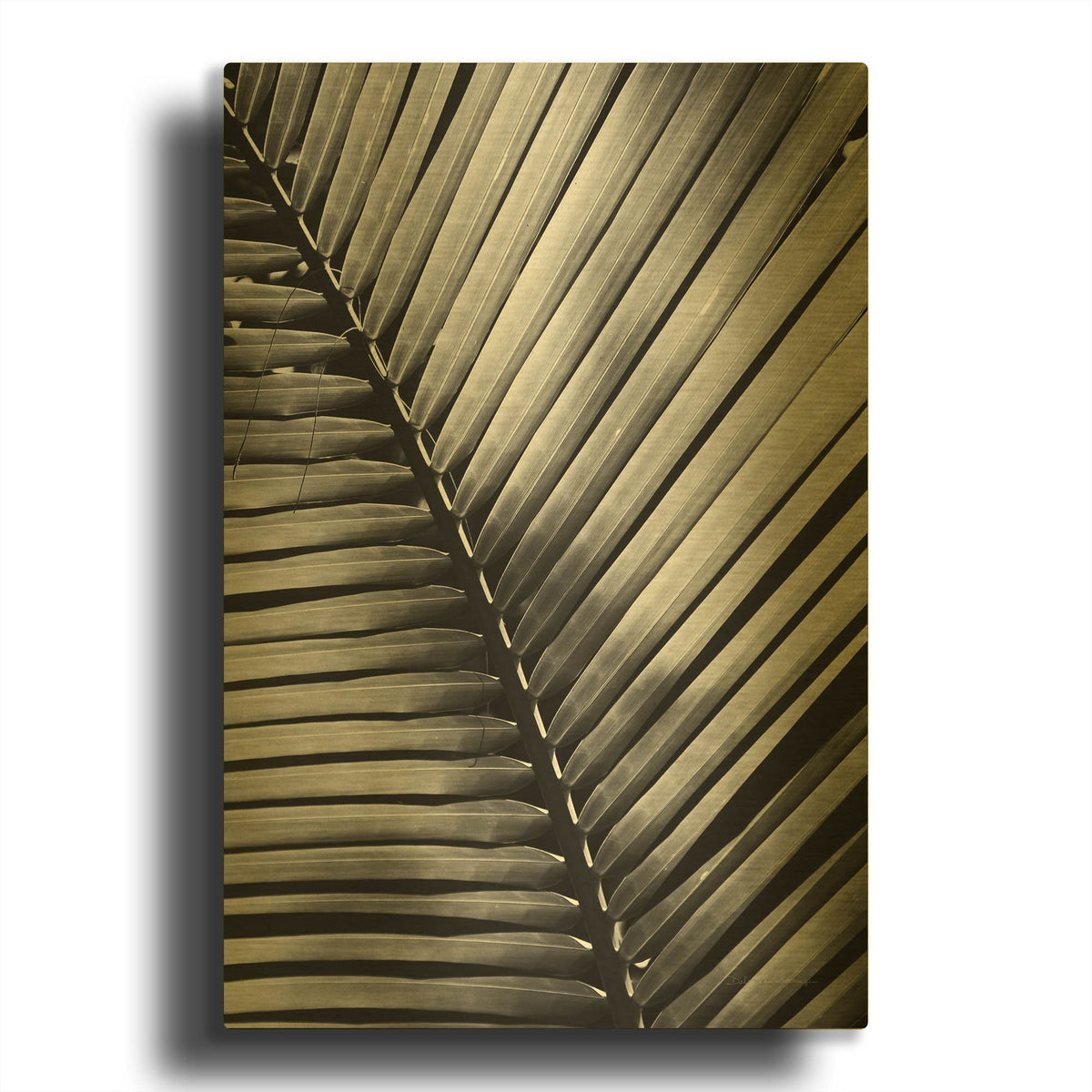 'Palm Frond I' By Debra Van Swearingen Gold Metal Wall Art