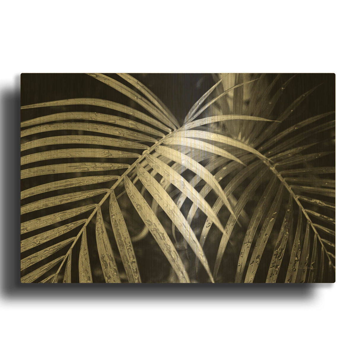'Palm Fronds' By Debra Van Swearingen Gold Metal Wall Art