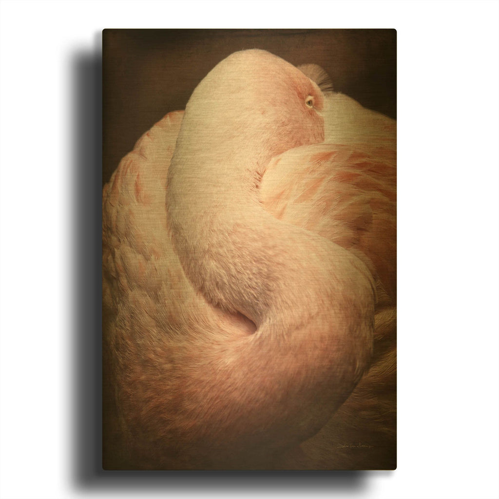 'Chilean Flamingo I' By Debra Van Swearingen Gold Metal Wall Art