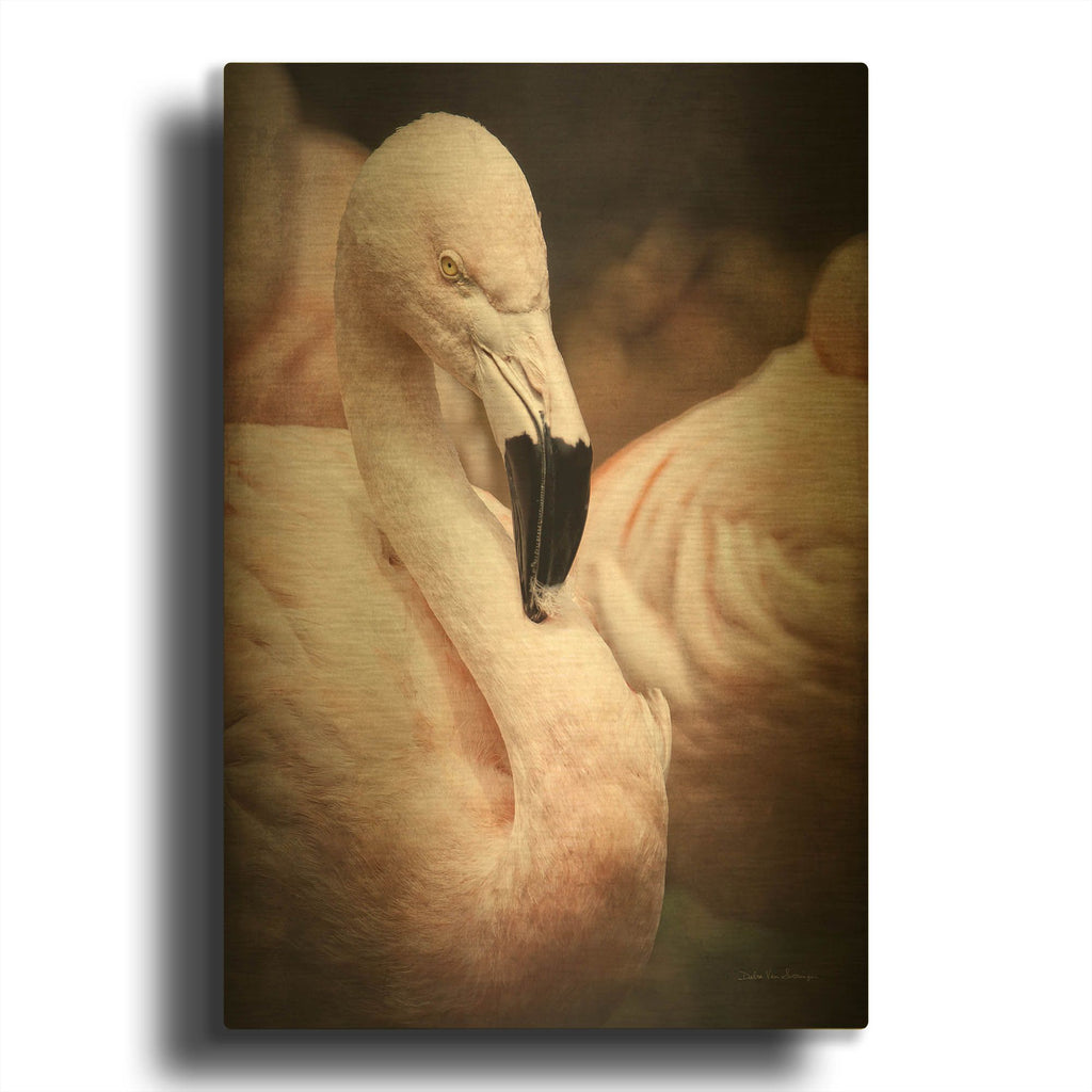 'Chilean Flamingo II' By Debra Van Swearingen Gold Metal Wall Art
