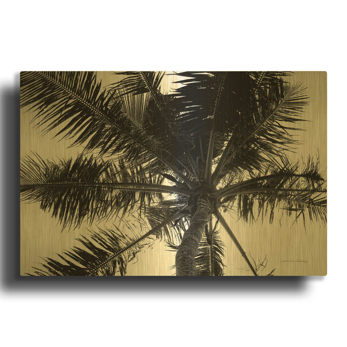 'Palm Tree Looking Up III' By Debra Van Swearingen Gold Metal Wall Art
