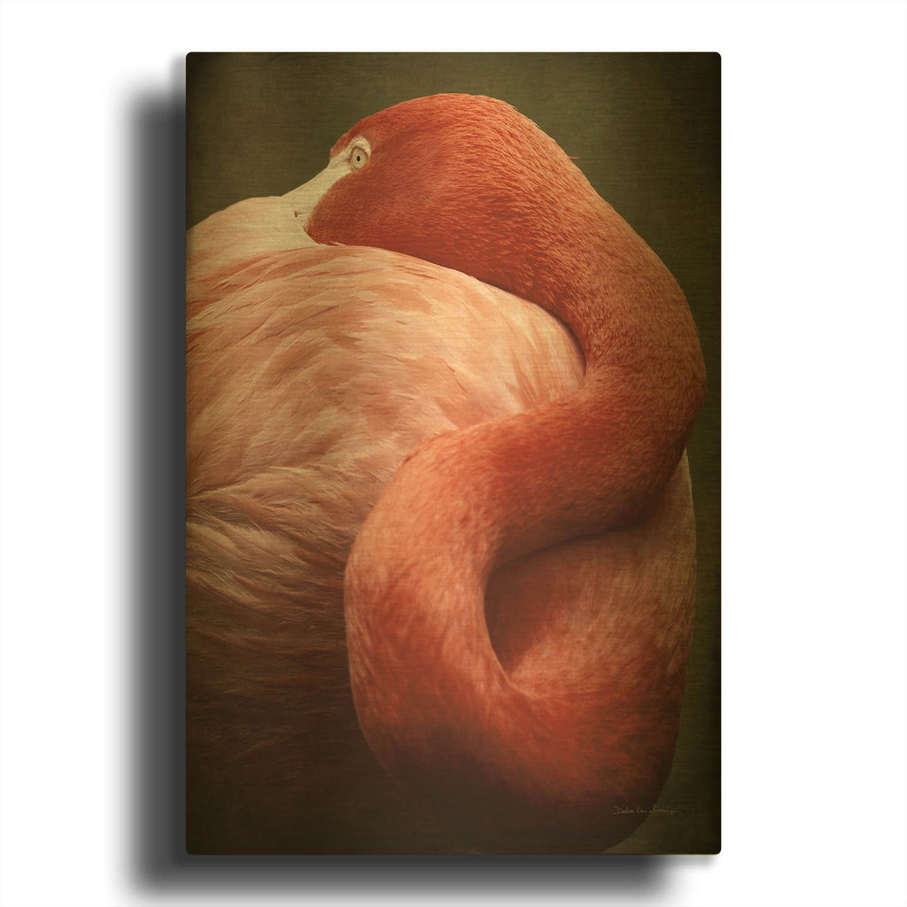 'Caribbean Flamingo I' By Debra Van Swearingen Gold Metal Wall Art