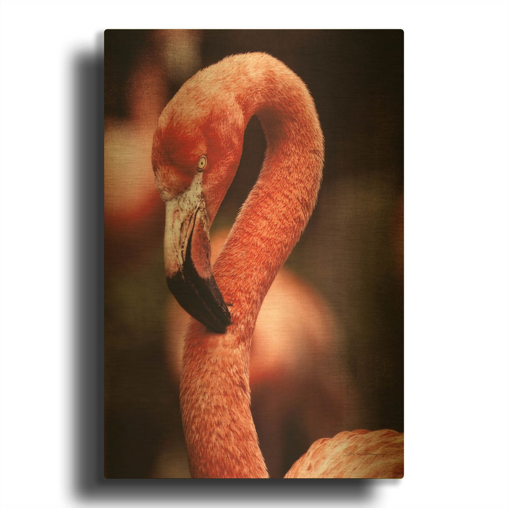 'Caribbean Flamingo II' By Debra Van Swearingen Gold Metal Wall Art
