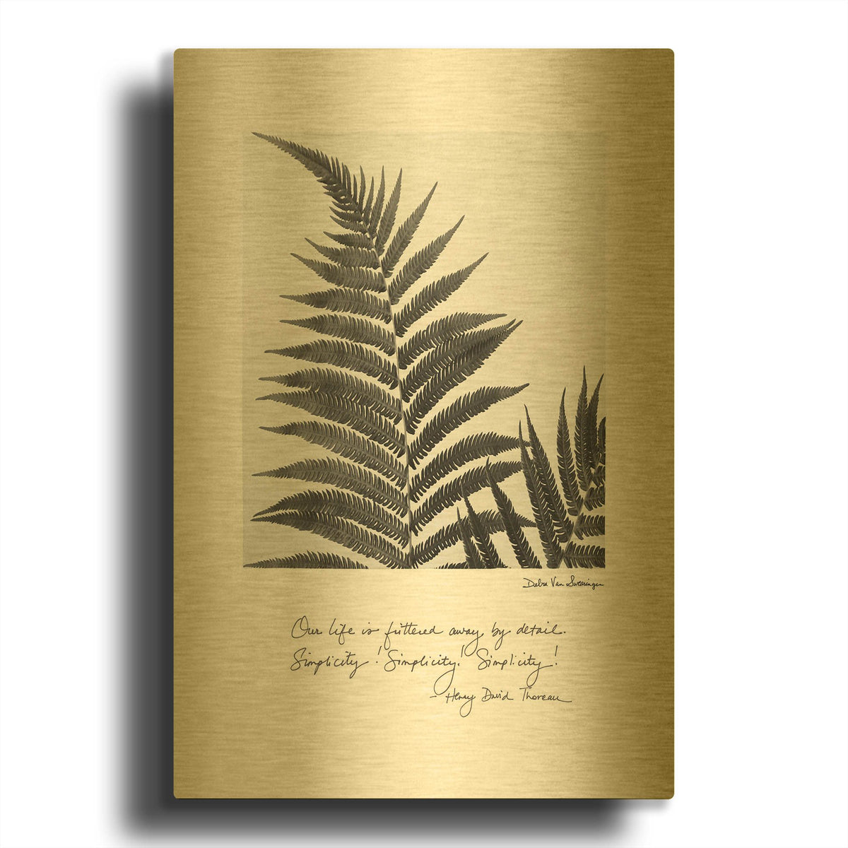 'Delicate Fern v2' By Debra Van Swearingen Gold Metal Wall Art