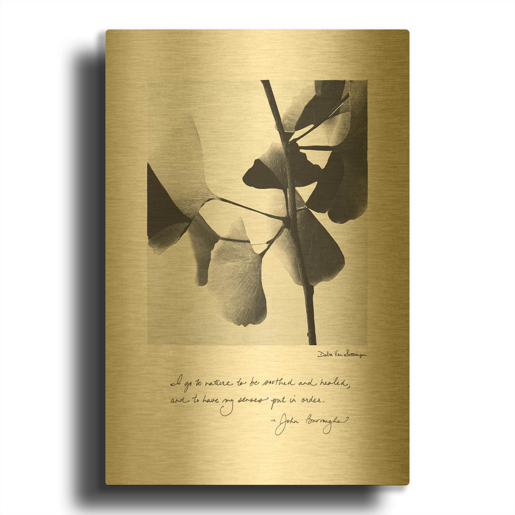 'Delicate Ginkgo v2' By Debra Van Swearingen Gold Metal Wall Art